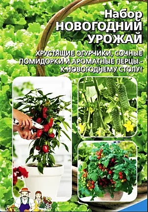 Семена Набор "Новогодний Урожай" Семена Набор "Новогодний Урожай"