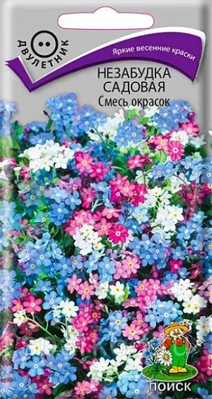 Семена Незабудка Садовая Смесь окрасок. Раннее красивоцветущее растение. Ветвистый стебель высотой 20-30 см. Цветки собраны в рыхлое короткое соцветие-завиток. Цветет в мае-июне. Используют для весеннего оформления цветников, в альпинариях, рядами в качестве бордюра.<br>
 <br>
 Агротехника. Растение влаголюбивое, зимостойкое. Предпочитает тенистое и полутенистое место, почвы плодородные, увлажненные. Хорошо переносит пересадку в течение весны – лета в цветущем состоянии. Посев семян производят в мае-июне на постоянное место. При температуре +18°C всходы появляются через 14-20 дней. Сеянцы прореживают, выдерживая расстояние между растениями 20 см.