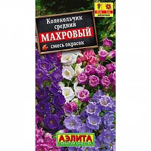 Колокольчик средний Махровый, смесь сортов