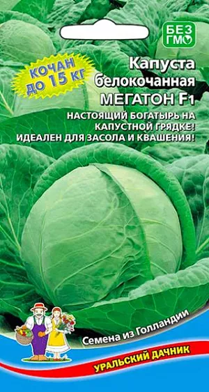 Семена Капуста белокочанная Мегатон Семена Капуста белокочанная Мегатон