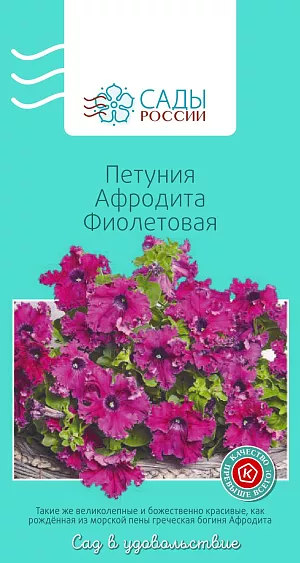 Петуния Афродита Фиолетовая 10шт из каталога Петуния Петуния Афродита Фиолетовая
Серия «Афродита» – элитная группа крупноцветковых низких гибридов. Восхитительная красота цветков серии неподвластна климатическим условиям и непостоянству капризной погоды средних широт. Компактные, хорошо разветвленные растения с прочными побегами обильно усыпаны крупными, до 9 см в диаметре, цветками с волнистым бахромчатым краем, подобным морской пене. Теплолюбива. Рассаду высаживают в грунт после того, как минует угроза возвратных заморозков.