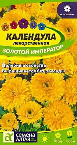Календула Золотой Император махровая

Яркий однолетник с замечательным сочетанием ценных характеристик: высокие декоративные качества, целебные свойства, продолжительный период цветения. Неприхотливость и холодостойкость позволяют выращивать календулу повсеместно. Кустики сильноветвистые высотой до 60 см с прямостоячими побегами, увенчанными полушаровидными махровыми соцветиями золотисто-оранжевой окраски диаметром 8-10 см, обладающими специфическим освежающим ароматом. Выносит заморозки до -5ºС. Наибольшей декоративности достигает на открытых солнечных участках с легкими плодородными дренированными почвами при достаточном увлажнении. Выращивают посевом семян в открытый грунт в конце апреля или под зиму. Глубина заделки семян 2-3 см. При температуре почвы +18°С всходы появляются через 10-14 дней, их прореживают с интервалом 20-30 см. Цветение начинается через 8-10 недель от всходов, с июля по сентябрь. Удаление увядших соцветий продляет сроки цветения.