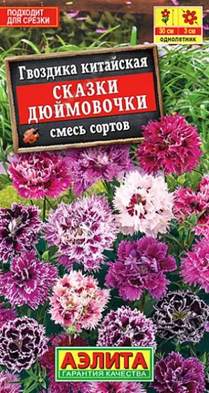 Семена Гвоздика китайская Сказка дюймовочки,смесь. Бесподобный, обильноцветущий сорт с потрясающими, махровыми цветками. Кустики компактные, сильноветвистые, с множеством цветоносов. При выращивании в саду достигают высоты 20-30 см, при выращивании в горшках – 15-20 см. Цветки диаметром  3 см. распускаются с июля до середины осени. Растения неприхотливые, могут выдерживать кратковременные заморозки. Подходят для ранней высадки в сад на постоянное место. Могут использоваться на срезку для небольших букетов.<br>
 В фазе одной пары листьев сеянцы пикируют. При развитии трех пар листьев проводят формирующую прищипку. Растения хорошо развиваются на солнечных участках с дренированными почвами нейтральной кислотности. В южных регионах возможен прямой посев семян в открытый грунт.<br>