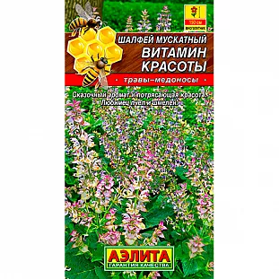 Шалфей мускатный Витамин красоты Шалфей мускатный Витамин красоты