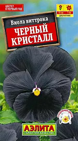 Семена Виола Черный кристалл. Эффектный, редкий сорт с неповторимой бархатисто-черной окраской цветков. Густые и компактные кустики высотой до 15 см, обильно усыпаны крупными цветками диаметром  6-7 см. Цветение продолжительное. Растения холодостойкие, неприхотливые. Используются в контейнерном озеленении, для ковровых посадок в бордюрах, на клумбах и переднем плане цветников. Отлично оттеняют «анютины глазки» любого цвета, привлекают бабочек, пчел и шмелей. Бутоны и цветки съедобные, их используют для украшения блюд.<br>
 <br>
 Сеянцы пикируют в фазе одного-двух настоящих листьев. При посеве в открытый грунт в июне-июле цветет на следующий год. Растения предпочитают солнечные или слегка затененные участки с плодородными, умеренно влажными почвами. Зимостойкость хорошая.<br>
 <br>
 <br>
 <br>
 <br>