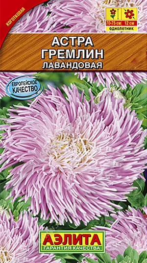 Семена Астра Гремлин лавандовая.
<p>
 <b>Эффектная астра с уникальными по форме соцветиями</b>. Принадлежит к садовой группе сравнительно новых коготковых астр. Кусты крепкие, высокорослые – 70-75 см высотой, стройные, узкие, букетной формы. На кусте раскрыты одновременно до 15 густомахровых, крупных соцветий диаметром 10-12 см. Цветоносы прочные, длиной 35-45 см. Растения холодостойкие, устойчивые к фузариозу, сохраняют декоративность в дождливую погоду. Цветут в средние сроки, в августе – сентябре. Используются для оформления цветников и на срезку.
</p>
<p>
 Выращивают рассадным способом. С развитием первой пары настоящих листочков сеянцы пикируют. На постоянное место рассаду высаживают в возрасте 30-35 дней. Возможен посев семян в открытый грунт весной или под зиму, в конце октября. Растениям необходимы регулярные поливы, прополки, рыхления и подкормки.<br>
</p>