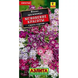 Семена Флокс Мгновение красоты, смесь сортов