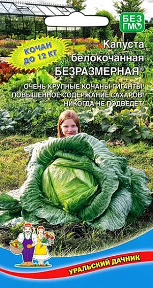 Семена Капуста белокочанная Безразмерная