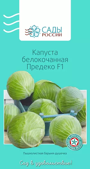 Семена Капуста белокочанная Предеко F1 16шт Семена Капуста белокочанная Предеко F1 16шт