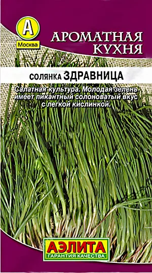 Солянка Здравница