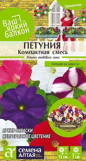 Семена Петуния Компактная многоцветковая

Прекрасный однолетник, смесь гибридов многоцветковой низкорослой петунии. Компактное растение высотой до 15 см с крупными, диаметром до 7 см, воронковидными цветками различной окраски: светло-синей, розовой, кремовой и др. Великолепно выглядит в кассетах, горшках, подвесных корзинах, кашпо и на клумбах. Применяется, главным образом, для составления композиций.