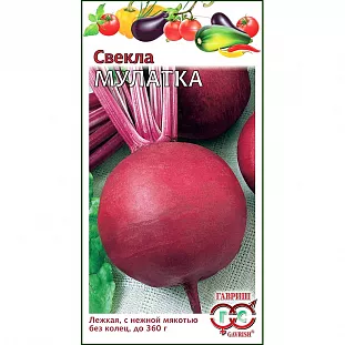 Семена Свекла Мулатка