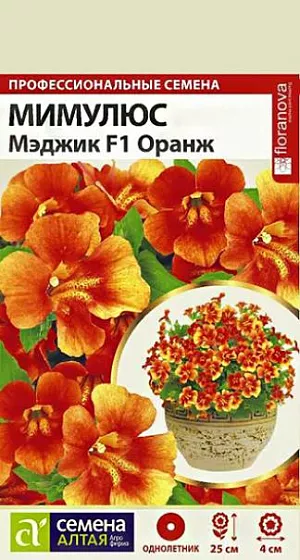 Мимулюс Мэджик Оранж из каталога Разные Семена Мимулюс "Мэджик Оранж".<br>
Привлекательное быстрорастущее растение. Выращивают как в открытом грунте, так и в качестве горшечной культуры. Формирует компактный кустик высотой и шириной 20-25 см. Листья яйцевидные, по краю зазубренные. Стебли прямостоячие, ветвистые, покрыты крупными, до 4 см. диаметром, цветками глубокой тёмно-оранжевой окраски с более светлыми, как будто пылающими, краями. Серию Мэджик отличает короткий период выращивания (всего 7 недель от посева до начала бутонизации), пышное обильное цветение, а также способность растений выдерживать небольшие заморозки до -4С. Тепло- и влаголюбивое растение, не выносит палящих солнечных лучей. Предпочитает полутенистые, защищенные от ветров участки на слабокислых рыхлых суглинистых почвах с повышенной влажностью. Посевы на рассаду проводят в конце марта - начале апреля. В качестве субстрата лучше использовать универсальный грунт с кокосовым волокном и перлитом, добавив немного чистого песка.