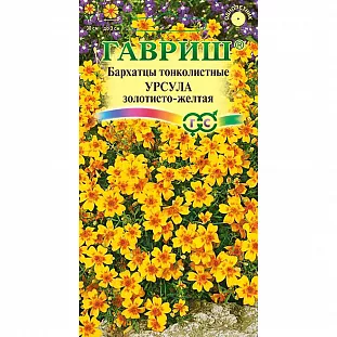 Бархатцы Урсула золотисто-желтая тонколистные