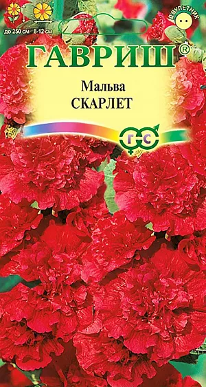 Семена Мальва Скарлет.
Многолетнее растение из семейства Мальвовых, культивируемое как двулетник, высотой до 2-2,5 м. Цветет с конца июня по сентябрь.
Цветки махровые темно-красные, 8-12 см в диаметре, собраны в крупное эффектное соцветие-кисть. 
Светолюбива и засухоустойчива, к почвам нетребовательна, но предпочитает участки с хорошо обработанной плодородной почвой.
На зиму желательно укрывать. Выращивают прямым посевом в открытый грунт в мае. Можно сеять во второй половине лета. В этом случае растения зацветут на следующий год. 
Используется для посадки в группах, миксбордерах, для декорирования стен зданий и изгородей, а также для получения срезки.