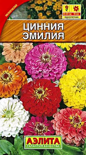 Семена Цинния Эмилия смесь окрасок из каталога Цинния Семена Цинния Эмилия смесь окрасок.
Яркая смесь низкорослых, обильно цветущих цинний. Формирует хорошо разветвленные, аккуратные кусты высотой 30-40 см. Особенность смеси – сочетание компактности растений и крупных махровых соцветий диаметром до 10 см. Окраска соцветий не выгорает на солнце. Растения свето- и теплолюбивые, относительно засухоустойчивые. Используются для оформления клумб, рабаток, бордюров, садовых и балконных контейнеров. Агротехника. Выращивают рассадным способом. С развитием первой пары настоящих листочков сеянцы пикируют. В фазе 5-6 листьев проводят формирующую прищипку. Рассаду высаживают в открытый грунт, когда минует опасность заморозков. Растениям необходимы регулярные поливы, прополки, рыхления и подкормки. Возможен посев семян в открытый грунт на глубину 1 см.