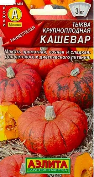 Семена Тыква крупноплодная Кашевар Семена Тыква крупноплодная Кашевар