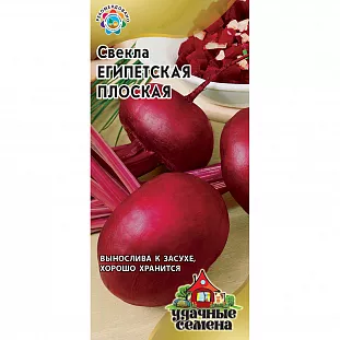 Семена Свекла Египетская плоская