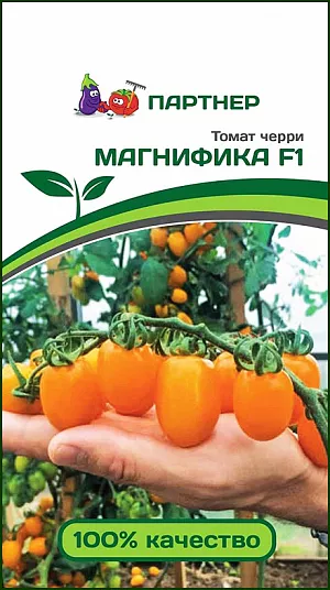 Семена Томат черри Магнифика F1