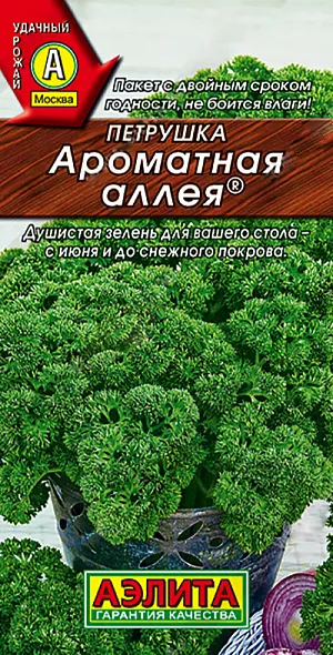 Петрушка кудрявая Ароматная аллея Петрушка кудрявая Ароматная аллея