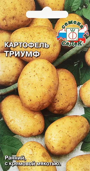 Семена Картофель Триумф