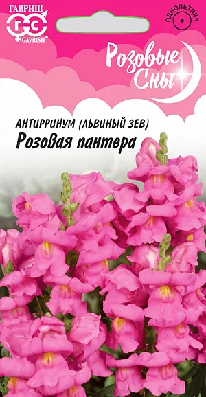 Семена Львиный зев (Антирринум) Розовая пантера.
Львиный зев цветок простой и незамысловатый. Его выращивание не составляет большого труда. Вместе с тем, его красота и очарование сделали антирринум одним из самых популярных однолетников среди других, обосновавшихся в цветниках. Главная гордость растения — это необычные цветочки. Их оригинальная форма, напоминающая зевающие мордочки, яркие, насыщенные цвета завораживают даже опытных садоводов. Цветки крупные, собраны в кистевидные соцветия нежнейших чисто-розовых тонов будут радовать своим обильным цветением долгое время, с июня до поздних заморозков. Холодостоек, светолюбив, к почвам нетребователен, в засушливый период нуждается в поливе. Выращивают рассадным способом. Для получения дружных всходов семена необходимо стратифицировать при температуре +10С. Посев проводят с начала марта до середины апреля, поверхностно, не заделывая, в ящики с субстратом и ставят на свет. Всходы появляются через 8-12 дней. Рассаду высаживают во второй половине мая с расстоянием между растениями 20 см. Антирринум хорош в срезке (в воде стоит до двух недель). Прекрасен на клумбах, в рабатках.