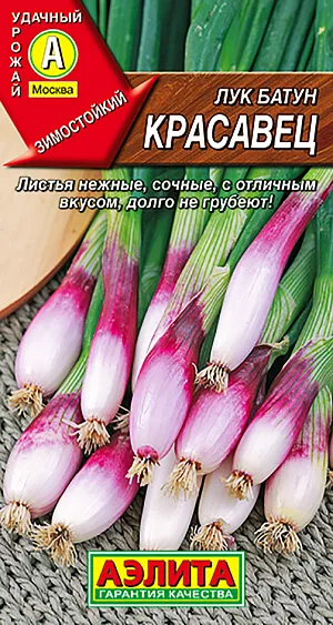 Лук батун Красавец Лук батун Красавец