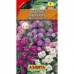 Иберис Лазурит, смесь сортов