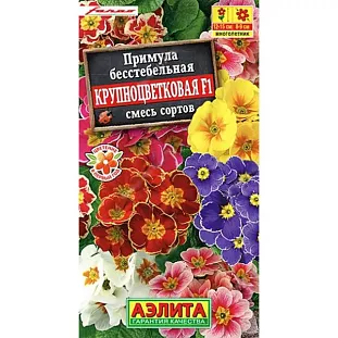 Семена Примула Крупноцветковая F1