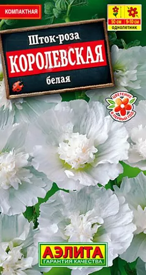 Семена Шток-роза Королевская белая. Сорт формирует компактные, аккуратные кусты высотой всего 50 см. – что весьма необычно для преимущественно высокорослых шток-роз. Цветет в год посева, что также необычно для двулетников, к которым причисляют шток-розы. Цветки  диаметром  9-10 см, махровые, оригинальной формы, с изрезанным краем лепестков, с тонким, приятным ароматом. Растения пышно цветут с июля по сентябрь. Используются для оформления клумб, рабаток, миксбордеров, контейнеров. Срезанные соцветия великолепно распускаются в воде до последнего бутона.<br>
 <br>
  Посев семян проводят в отдельные горшки, так как растение имеет стержневой корень и плохо переносит пикировку. Шток-роза предпочитает солнечные участки с плодородными, глубоко обработанными, дренированными почвами нейтральной кислотности. Желательна подвязка цветущих стеблей.<br>
 <br>
 <br>
 <br>
 <br>