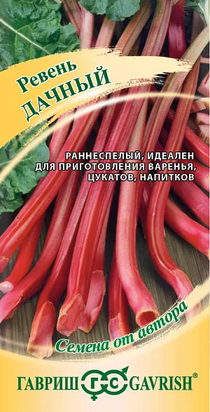 Ревень Дачный