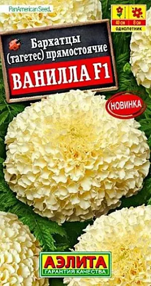 Бархатцы прямостоячие Ванилла F1 из каталога Бархатцы Семена Бархатцы Ванилла F1 прямостоячие.<br>
<br>
Потрясающий однолетник с крупными цветками настоящего кремового оттенка. Гибрид формирует прямостоячий куст высотой до 40 см и шириной до 25 см. Цветы крупные, густомахровые, диаметром 6-8 см. Листья насыщенного темно-зеленого цвета. Растение неприхотливое и при правильном уходе порадует цветением до самых заморозков. Бархатцы используют для создания пышных бордюров, рабаток, прекрасно подходят для балконных контейнеров и горшков. Дают отличную срезку.<br>
Бархатцы предпочитают солнечные участки с дренированными, плодородными почвами нейтральной кислотности. Растения теплолюбивые, быстрорастущие, взрослые – достаточно засухоустойчивые.<br>