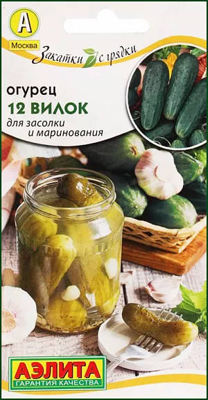 Семена Огурец 12 вилок