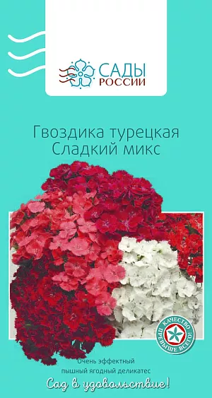 Гвоздика турецкая Сладкий микс

Пышные крупные соцветия диаметром до 12 см с манящим пряным запахом. За пару недель до посева землю следует перекопать на глубину 20–25 см, полить, накрыть полиэтиленовой пленкой и снять ее непосредственно перед посевом. Холодо- и морозостойка. В полную силу цветет только на 2-й год после высадки. Осенью сеют сухие семена без полива в сухой грунт.