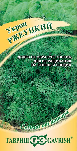 Семена Укроп Ржеуцкий