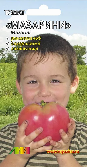 Семена Томат Мазарини Семена Томат Мазарини