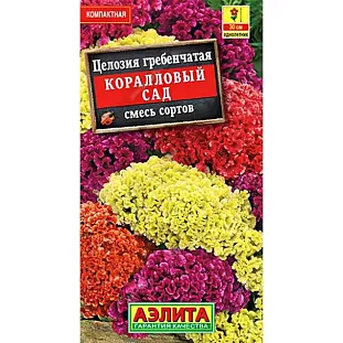 Целозия гребенчатая Коралловый сад Целозия гребенчатая Коралловый сад