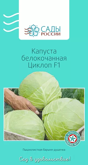 Семена Капуста белокочанная Циклоп F1 Семена Капуста белокочанная Циклоп F1