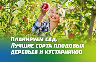 ЛУЧШИЕ СОРТА ПЛОДОВЫХ ДЕРЕВЬЕВ И КУСТАРНИКОВ