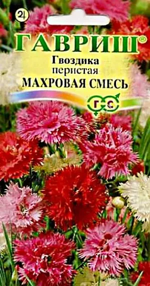 <div>
 Семена Гвоздика перистая махровая Сказка.
</div>
 <article>
<p>
 Многолетнее почвопокровное растение высотой 25 см. Образует ковер из махровых душистых цветков различной окраски до 3,5 см. в диаметре. Листья имеют сизый налет. Посев в январе-марте в рассадные ящики. Всходы появляются через 7-14 дней. Рассаду высаживать в грунт в мае-июне. Массовое цветение наблюдается в июне-июле в течение 30 дней. Возможно повторное цветение в конце лета. Непосредственно в грунт высевают в мае. Предпочитает солнечное место и легкую, хорошо дренированную почву. Украсит альпийскую горку, дорожку, вазон.
</p>
 </article>