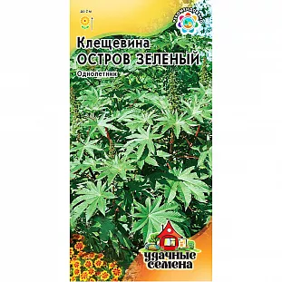 Клещевина Остров Зеленый Клещевина Остров Зеленый