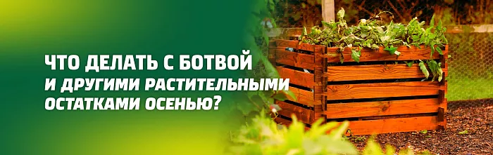 ЧТО ДЕЛАТЬ С БОТВОЙ И ДРУГИМИ РАСТИТЕЛЬНЫМИ ОСТАТКАМИ ОСЕНЬЮ. КАК ПРАВИЛЬНО ЗАЛОЖИТЬ ИХ В КОМПОСТНУЮ ЯМУ (КУЧУ) ЧТО ДЕЛАТЬ С БОТВОЙ И ДРУГИМИ РАСТИТЕЛЬНЫМИ ОСТАТКАМИ ОСЕНЬЮ. КАК ПРАВИЛЬНО ЗАЛОЖИТЬ ИХ В КОМПОСТНУЮ ЯМУ (КУЧУ)