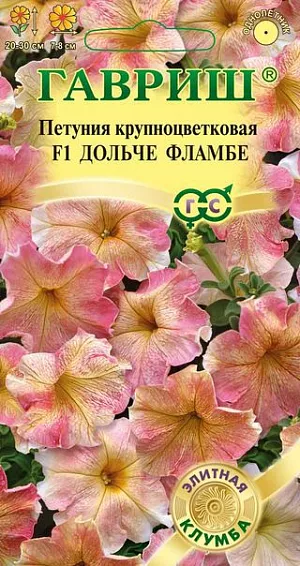 Семена Петуния крупноцветковая Дольче Фламбе F1<br>
 <br>
 Крупноцветковые гибриды из итальянской серии "Дольче" славятся невероятно нежными пастельными оттенками, редко встречающимися среди петуний.  Из-за неравномерного окрашивания (тона переходят из более насыщенных и плотных в более светлые и легкие) цветки кажутся воздушными, полупрозрачными, будто сияют, пропуская солнечный свет. Эффект усиливает ярко-выраженное жилкование, интенсивность которого меняется от цветка к цветку. Растение образует аккуратные кустики высотой 20-30 см, усыпанные нежно-розовыми цветками с желтым центром и белым ободком диаметром 7-8 см. Гибриды неприхотливы, обильно цветут и даже в ненастную погоду сохраняют свою привлекательность. На постоянное место высаживают, когда минует опасность заморозков. Цветет с конца мая весь сезон. Светолюбива и достаточно засухоустойчива. Предпочитает легкие, плодородные, хорошо дренированные почвы. Украсит клумбы, вазоны, балконные ящики, подоконники, низкорослые бордюры. Рекомендуется для профессионального озеленения и выращивания на продажу.<br>