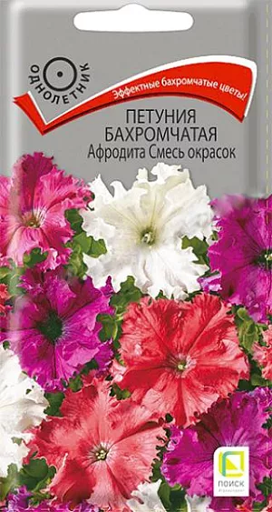 Семена Петуния бахромчатая Афродита смесь окрасок. Цветы с волнистыми и бахромчатыми краями. Растение ветвистое, высотой около 35 см. Цветы диаметром 8-9 см. Смесь состоит из разнообразных  окрасок. Обильное цветение с июня до заморозков. Прекрасно подходит для клумб, рабаток и вазонов.