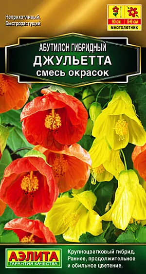 Семена Абутилон Джульетта смесь окрасок.
Невозможно найти более неприхотливое цветущее растение для светлых помещений, чем комнатный клен (абутилон). Абутилон ДЖУЛЬЕТТА зацветает через 4-5 месяцев после посева семян. Выращивание его не требует опыта и вполне по силам начинающему цветоводу. Самое привлекательное качество абутилона ДЖУЛЬЕТТА – постоянное цветение. Если ему достаточно света, он цветет круглый год симпатичными цветками-колокольчиками, диаметром 5-6 см. Растет очень быстро – ежегодный прирост составляет не менее 50 см, на третий год достигает 150 см. 
Агротехника. Посев семян в конце февраля-марте, в легкий субстрат на глубину 0,5 см. Перед посевом замочите их в воде на несколько часов до набухания. При комнатной 
температуре всходы появляются через 2-3 недели. Подросшие сеянцы высаживайте в горшки по 2-3 шт. Для сохранения компактной формы взрослых растений их побеги по весне укорачивают вдвое. Если есть возможность, выставляйте его летом на свежий воздух – в сад или на балкон. Поливайте обильно, подкармливайте 2 раза в месяц, – на малейшую заботу он благодарно откликается особо пышным цветением.