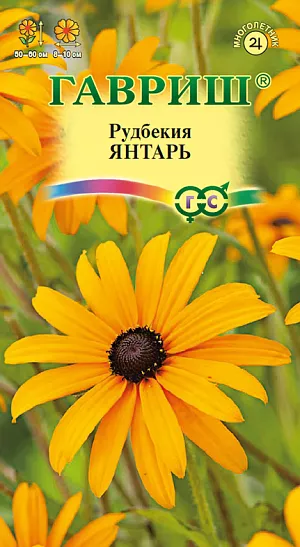 Семена Рудбекия Янтарь.
Многолетнее травянистое растение из семейства Сложноцветные, высотой до 60 см. Очень засухоустойчивое, достаточно холодостойкое и очень светолюбивое. Все растение густо опушено жесткими волосками. Соцветия – корзинки до 10 см в диаметре, на длинных цветоносах. Язычковые цветки золотисто-желтые, трубчатые – буровато-пурпурные, расположены на выпуклом цветоложе. Сеют в начале апреля, высаживают в грунт во второй половине мая на расстоянии 20-25 см. Зацветают в конце июня-начале июля и цветут в течение 55-65 дней. Сажают группами или массивами на газоне.
