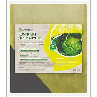 Сбор урожая и хранение кочанов