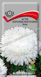 Семена Астра Королевский размер Белая