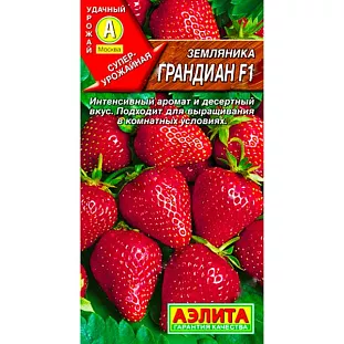 Семена Земляника (клубника) Грандиан F1 Семена Земляника (клубника) Грандиан F1