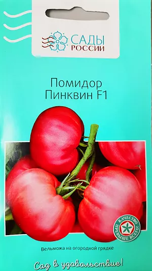 Семена Томат Пинквин